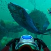 Subnautica Deep Ocean Bundle Steam CD Key