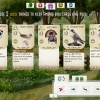 Wingspan EU Steam CD Key