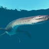 Jurassic World Evolution 2 - Deluxe Upgrade Pack DLC ROW Steam CD Key Jurassic World Evolution 2 - Deluxe Upgrade Pack DLC ROW Steam CD Key