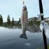 Ultimate Fishing Simulator - VR DLC Steam CD Key