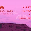 Surviving Mars - Mars Lifestyle Radio DLC Steam CD Key