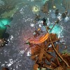 Tribes of Midgard Deluxe Edition EU Steam CD Key	
