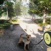 Animal Shelter PC Steam CD Key