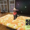 Animal Shelter PC Steam CD Key