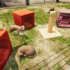 Animal Shelter PC Steam CD Key