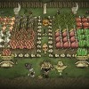 Don't Starve Together PC Steam CD Key