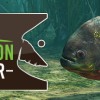 Ultimate Fishing Simulator - Amazon River DLC Steam CD Key