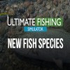 Ultimate Fishing Simulator - New Fish Species DLC Steam CD Key