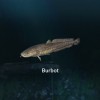 Ultimate Fishing Simulator - New Fish Species DLC Steam CD Key