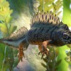 Planet Zoo - Wetlands Animal Pack DLC Steam CD Key Planet Zoo - Wetlands Animal Pack DLC Steam CD Key