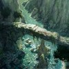 Solasta: Crown of the Magister Supporter Edition Steam CD Key