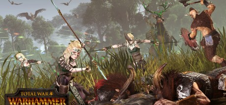 Total War: Warhammer - Realm of The Wood Elves DLC RoW Steam CD Key Total War: Warhammer - Realm of The Wood Elves DLC RoW Steam CD Key