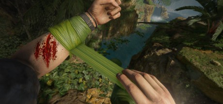 Green Hell VR Steam CD Key Green Hell VR Steam CD Key