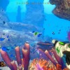 Deep Diving Adventures AR XBOX One / Xbox Series X|S CD Key