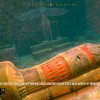 Deep Diving Adventures AR XBOX One / Xbox Series X|S CD Key