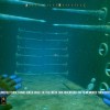 Deep Diving Adventures AR XBOX One / Xbox Series X|S CD Key