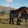 Planet Zoo - Conservation Pack DLC Steam CD Key Planet Zoo - Conservation Pack DLC Steam CD Key