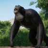Planet Zoo - Conservation Pack DLC Steam CD Key Planet Zoo - Conservation Pack DLC Steam CD Key