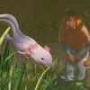 Planet Zoo - Conservation Pack DLC Steam CD Key Planet Zoo - Conservation Pack DLC Steam CD Key