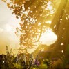 Hellblade: Senua's Sacrifice AR XBOX One / Xbox Series X|S CD Key