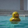 Placid Plastic Duck Simulator Steam CD Key Placid Plastic Duck Simulator Steam CD Key