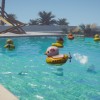 Placid Plastic Duck Simulator Steam CD Key Placid Plastic Duck Simulator Steam CD Key
