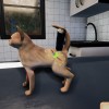 Animal Shelter - Puppies & Kittens DLC EN Language Only PC Steam CD Key