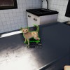 Animal Shelter - Puppies & Kittens DLC EN Language Only PC Steam CD Key