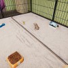 Animal Shelter - Puppies & Kittens DLC EN Language Only PC Steam CD Key