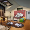 Animal Shelter - Puppies & Kittens DLC EN Language Only PC Steam CD Key