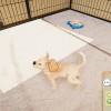 Animal Shelter - Puppies & Kittens DLC EN Language Only PC Steam CD Key
