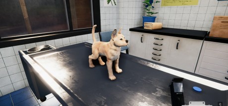 Animal Shelter - Puppies & Kittens DLC EN Language Only PC Steam CD Key Animal Shelter - Puppies & Kittens DLC EN Language Only PC Steam CD Key