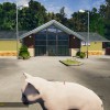 Animal Shelter - Puppies & Kittens DLC EN Language Only PC Steam CD Key