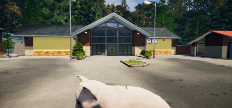Animal Shelter - Puppies & Kittens DLC EN Language Only PC Steam CD Key Animal Shelter - Puppies & Kittens DLC EN Language Only PC Steam CD Key