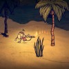 Don't Starve - Shipwrecked DLC Steam CD Key