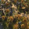 Age of Empires III: Definitive Edition - United States Civilization DLC XBOX One / Xbox Series X|S CD Key