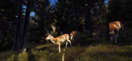 Way of the Hunter Steam CD Key Way of the Hunter Steam CD Key