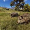 Way of the Hunter Steam CD Key