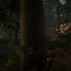 The Forest EU PC Steam CD Key
