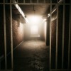Escape the Backrooms Steam CD Key