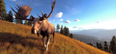 Way of the Hunter Elite Edition PC Steam CD Key Way of the Hunter Elite Edition PC Steam CD Key