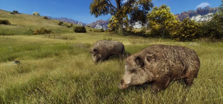 Way of the Hunter Elite Edition PC Steam CD Key Way of the Hunter Elite Edition PC Steam CD Key