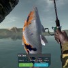 Ultimate Fishing Simulator - Taupo Lake DLC Steam CD Key