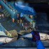 What Remains of Edith Finch ASIA Steam CD Key
