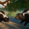Planet Zoo - Twilight Pack DLC EU Steam CD Key Planet Zoo - Twilight Pack DLC EU Steam CD Key