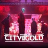PAYDAY 2: City of Gold Collection Steam CD Key