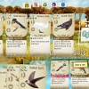 Wingspan AR XBOX One CD Key Wingspan AR XBOX One CD Key