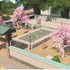 Cities: Skylines - The Classics Bundle Steam CD Key