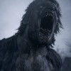 Resident Evil Village - Street Wolf Outfit DLC EU PS5 CD Key Resident Evil Village - Street Wolf Outfit DLC EU PS5 CD Key