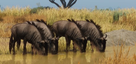 Planet Zoo - Grasslands Animal Pack DLC Steam CD Key Planet Zoo - Grasslands Animal Pack DLC Steam CD Key